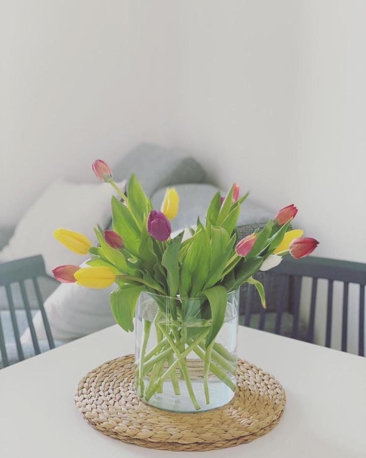 Cioccis Boutique Apartment Rzym Zewnętrze zdjęcie